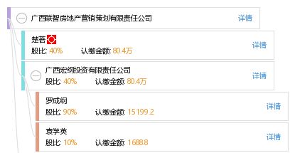 廣西聯智房地產營銷策劃有限責任公司 專業賦能，智領房地產營銷新篇章