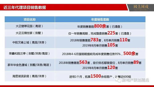 「悅見未來」——【雲山國際】項目整合營銷策劃提案