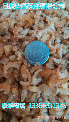 日照金增水產(chǎn) 冷凍帶魚塊段工廠直銷，優(yōu)質(zhì)批發(fā)首選