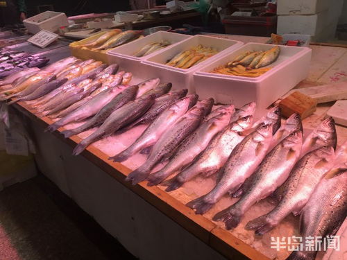 青島水產(chǎn)品交易遇冷，進(jìn)口水產(chǎn)停售，市場監(jiān)管部門嚴(yán)查進(jìn)貨來源