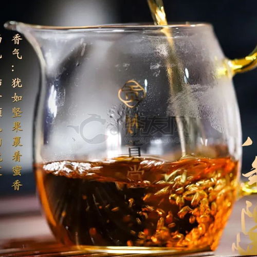 2022年妙貢堂八年陳白茶300克全方位解析 價格、評測與購買指南