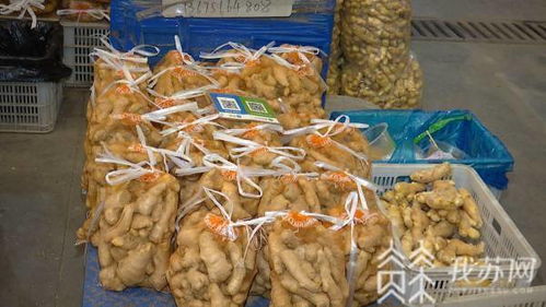 蔥姜價格上揚與肉水產價格回落 農副產品市場銷售動態分析