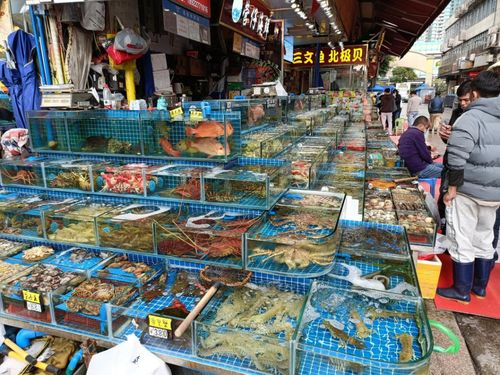 新春佳節供應穩 南粵大地消費旺——廣東全力保障春節期間重要民生商品供應