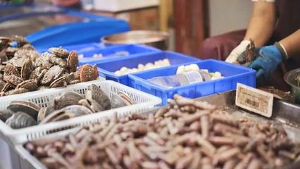 煙臺(tái)開(kāi)海首日！凌晨碼頭沸騰，生猛海鮮批量上岸直供市民餐桌